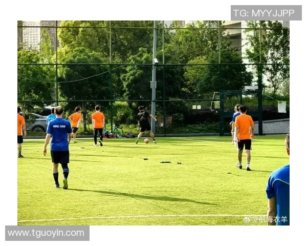 在空中足球场上体验飞翔与竞技的完美结合